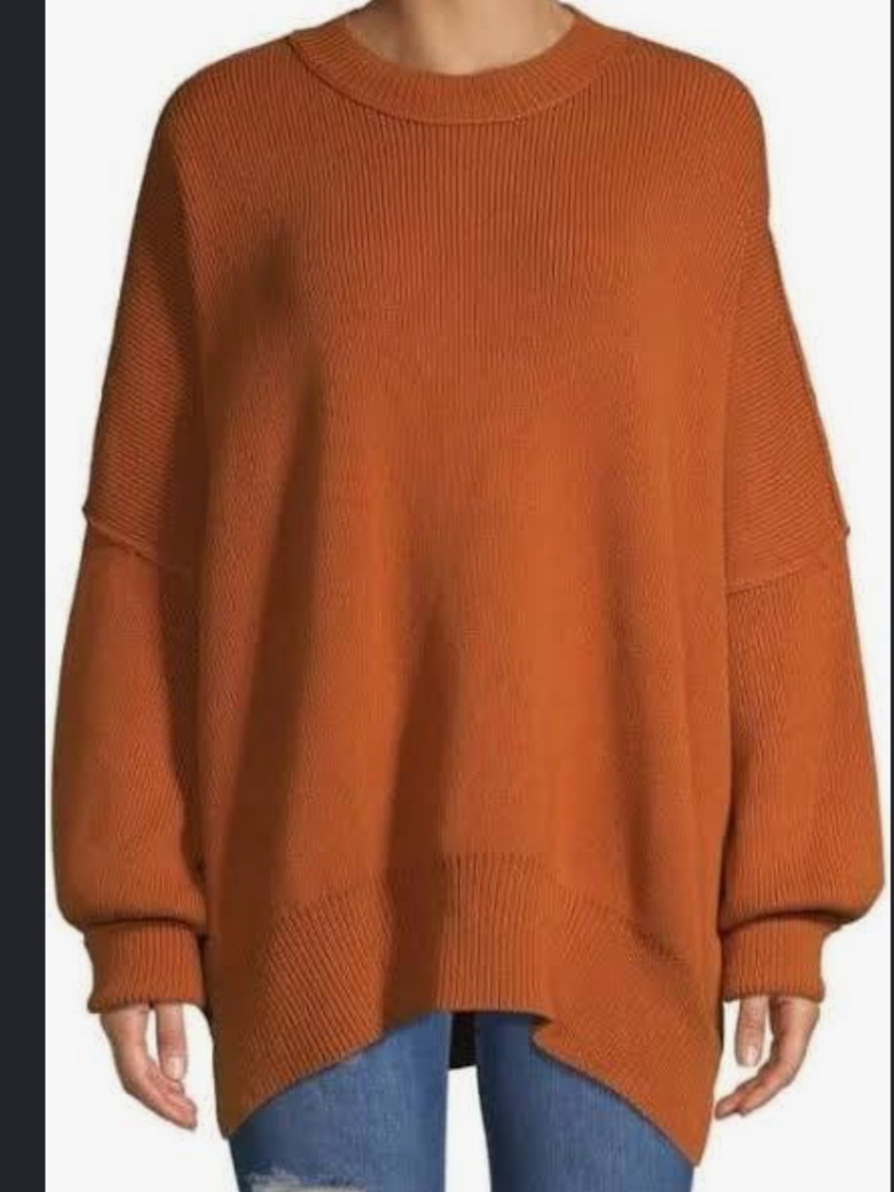 Free People Oversized Sweater